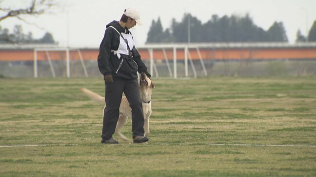 嘱託警察犬審査会　行方不明者の捜索などで活躍、去年は120件出動　合格した犬は6月から活動　富山県警|TBS NEWS DIG