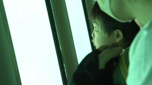 「できる限り遊びに来てほしい」 海底サンゴ遊覧船 キャンセル相次ぎ観光客は半数に 南海トラフ臨時情報「巨大地震注意」のお盆休み 愛媛|TBS NEWS DIG