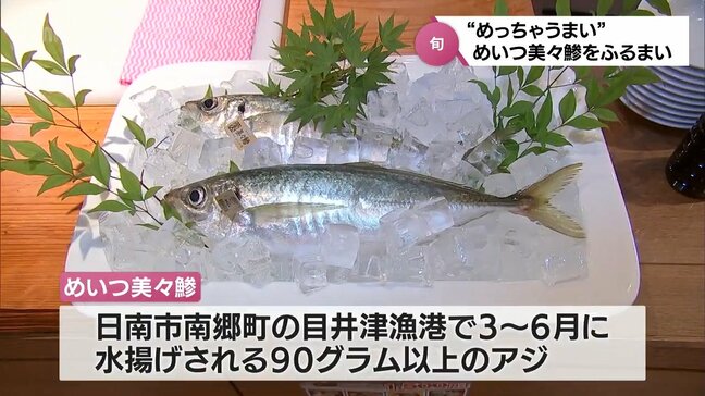 日南市南郷町のブランド魚「めいつ美々鯵」をPR　宮崎市のホテルでふるまい|TBS NEWS DIG