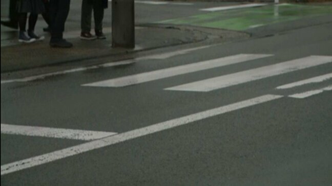 横断歩道を横断中の児童3人はねる　運転手の男を現行犯逮捕（山形・鶴岡市）|TBS NEWS DIG