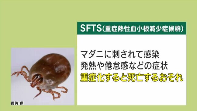 マダニ媒介のSFTSに70代女性が感染 今年鹿児島県内初|TBS NEWS DIG