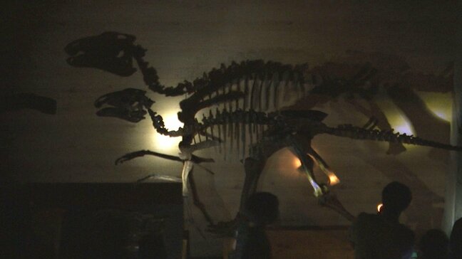 夜の博物館を見学ツアー 実証実験　懐中電灯で骨格標本を照らし浮かび上がった影は…|TBS NEWS DIG