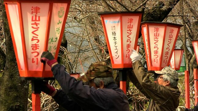 日本さくら名所100選「津山さくらまつり」3月28日開幕 夜桜を楽しむための「ぼんぼり」を取り付け【岡山】|TBS NEWS DIG