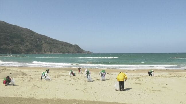 「お茶で島根を美しく。」伊藤園が海岸清掃活動|TBS NEWS DIG