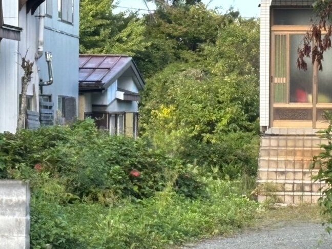 米沢市のクマ 子グマとみられる影を確認も確証得られず 通学時間帯後に爆竹使用で動きを確認へ(山形)|TBS NEWS DIG