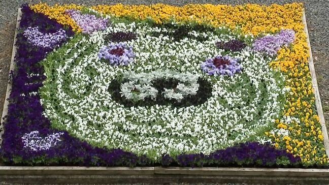 「動物や花に触れて」池田動物園でパンジーやビオラなど約3万本の春の花　ホワイトタイガーの顔の花絵なども【岡山】|TBS NEWS DIG