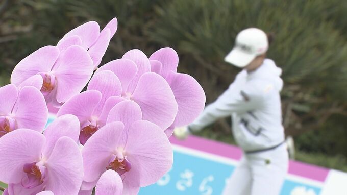 ダイキンオーキッドレディス 沖縄への経済効果は31億円 来場者の平均消費額は13万6千円 | 沖縄のニュース|RBC 琉球放送