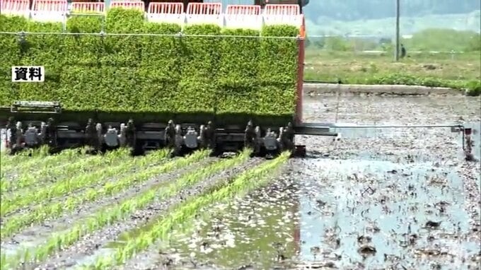 青森県内の田植え最盛期を迎える　進ちょく率は5月25日現在で85%　平年を7ポイントほど上回る|TBS NEWS DIG