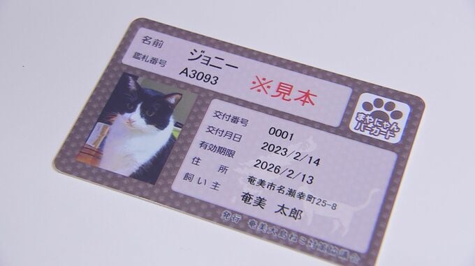 「猫は室内飼い」ネコ用の“まやにゃんバーカード”4月から発行へ　鹿児島・奄美大島|TBS NEWS DIG