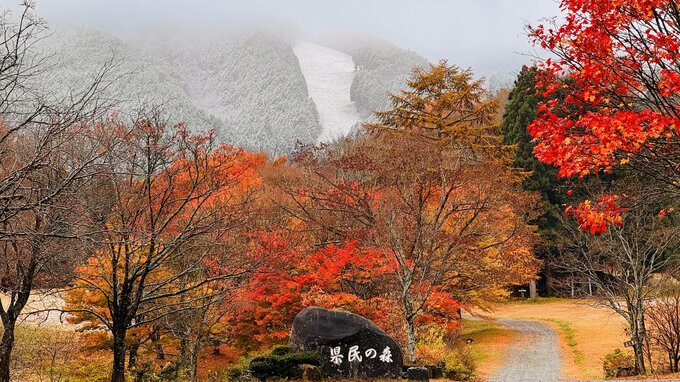 【初冠雪】広島県内で今季初めての雪　中国山地では各地で初冠雪　紅葉と雪のコラボも　例年より10日ほど遅く　冬型の気圧配置で上空にはこの秋一番強い寒気流入で|TBS NEWS DIG