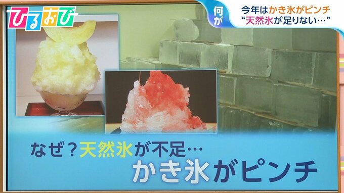 今年はかき氷がピンチ！？「天然氷」不足　値上がりも【ひるおび】|TBS NEWS DIG