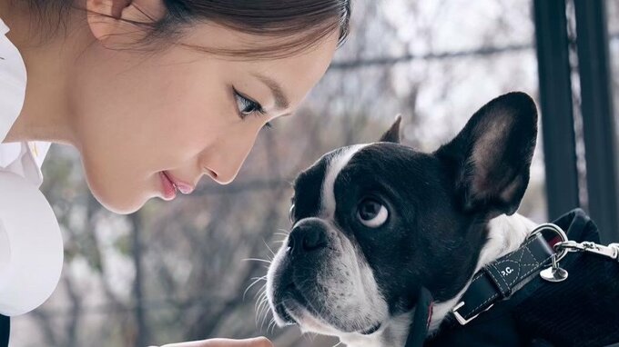 【 川口春奈 】愛犬アムちゃんが「お空へ旅立った」「可愛い可愛いアムちゃん　ずっとずっと大好きだよ」|TBS NEWS DIG