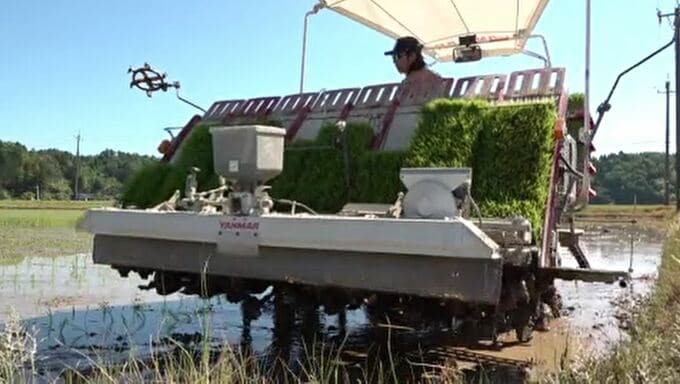 「先人の田んぼを守りたい」 被害を受けながらも半月遅れで田植え始まる 石川・珠洲市　|　石川県のニュース｜MRO北陸放送