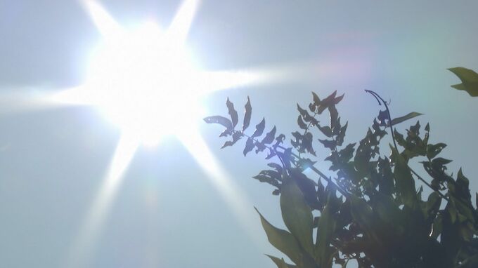 １位東京、2位秋田　熱中症労働災害　2023年死亡３人山口県は全国ワースト３　労働局が注意呼びかけ　|　山口のニュース・天気・防災｜tys NEWS｜ｔｙｓテレビ山口