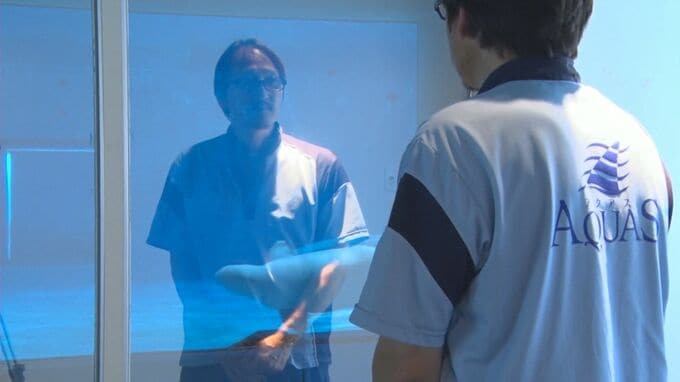 人目を気にせず出産を…「シロイルカ」水槽との間に「マジックミラー」パーテーション設置　人側からは見えるが、イルカ側からは見えない仕組み　|　BSSニュース | BSS山陰放送