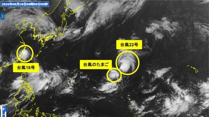 新たな「台風のたまご」発生…日本への影響は？【トリプル台風へ】|TBS NEWS DIG