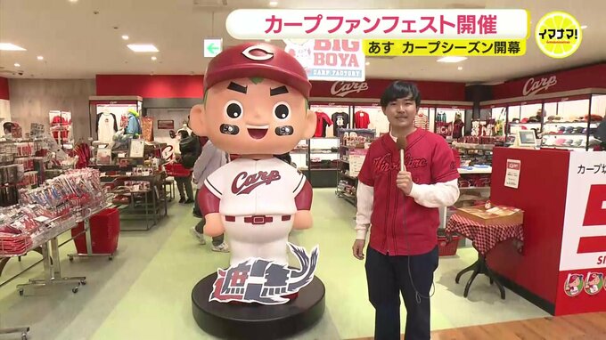 “カープ坊や”生誕５０周年「絶対日本一に！」３００種類以上の応援グッズが勢ぞろい　開店直後からファンの列　福屋|TBS NEWS DIG