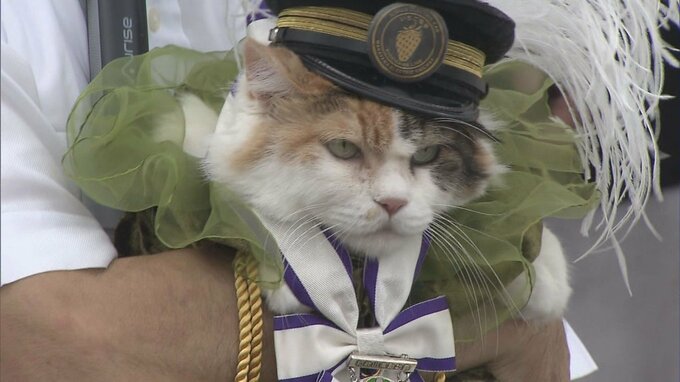 【速報】和歌山電鐵の2代目ネコ駅長の「二タマ」が永眠　最期に「ニャー」と鳴き天国へ…|TBS NEWS DIG