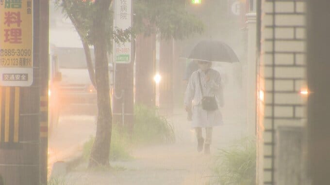 【大雨情報】はん濫危険水位超過の川も…高知県で大気の状態が非常に不安定に　浸水、土砂災害に警戒を（午前9時時点）|TBS NEWS DIG