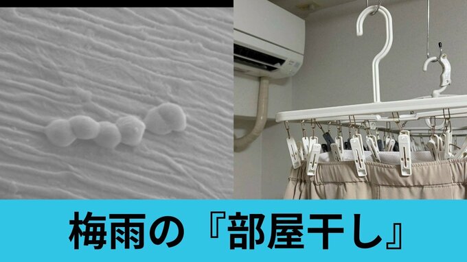 生乾き臭は “菌の代謝物” だった…　今年の梅雨こそ しぶといニオイと離れたい『部屋干しの正解』|TBS NEWS DIG