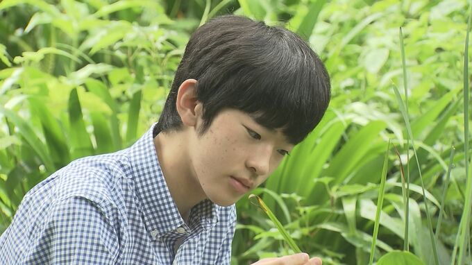 悠仁さま自動車の運転免許を取得　春からの筑波大学進学に向けて準備中|TBS NEWS DIG