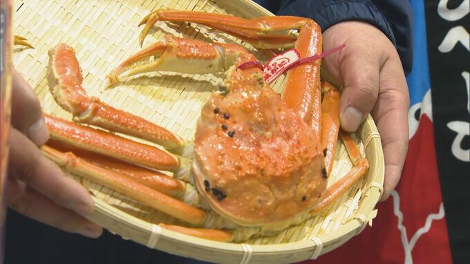 1回500円のガチャを回して…大当たりは高級「松葉がに」1匹丸ごと　鳥取の空港に行列　5歳女児が大当たり「松葉がに」ゲット|TBS NEWS DIG