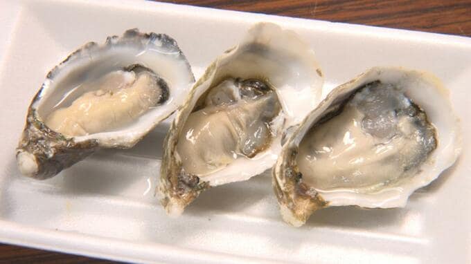 アーサ（アオサ）養殖衰退の北中城村の打開策は「牡蠣養殖」 実証実験順調で9月に漁業権取得へ|TBS NEWS DIG