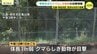 「子供たちの安全が一番心配」広島市安佐北区の小学校付近でクマらしき動物の目撃情報　同じ場所で１ヶ月前にも　　|　RCC NEWS | 広島ニュース | RCC中国放送