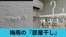 生乾き臭は “菌の代謝物” だった…　今年の梅雨こそ しぶといニオイと離れたい『部屋干しの正解』　|　熊本のニュース｜RKK NEWS｜RKK熊本放送