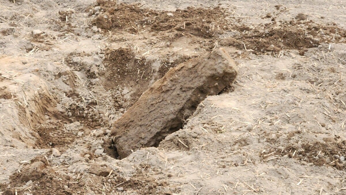 img_52b5b0fec57684a4f0c9d0c26a