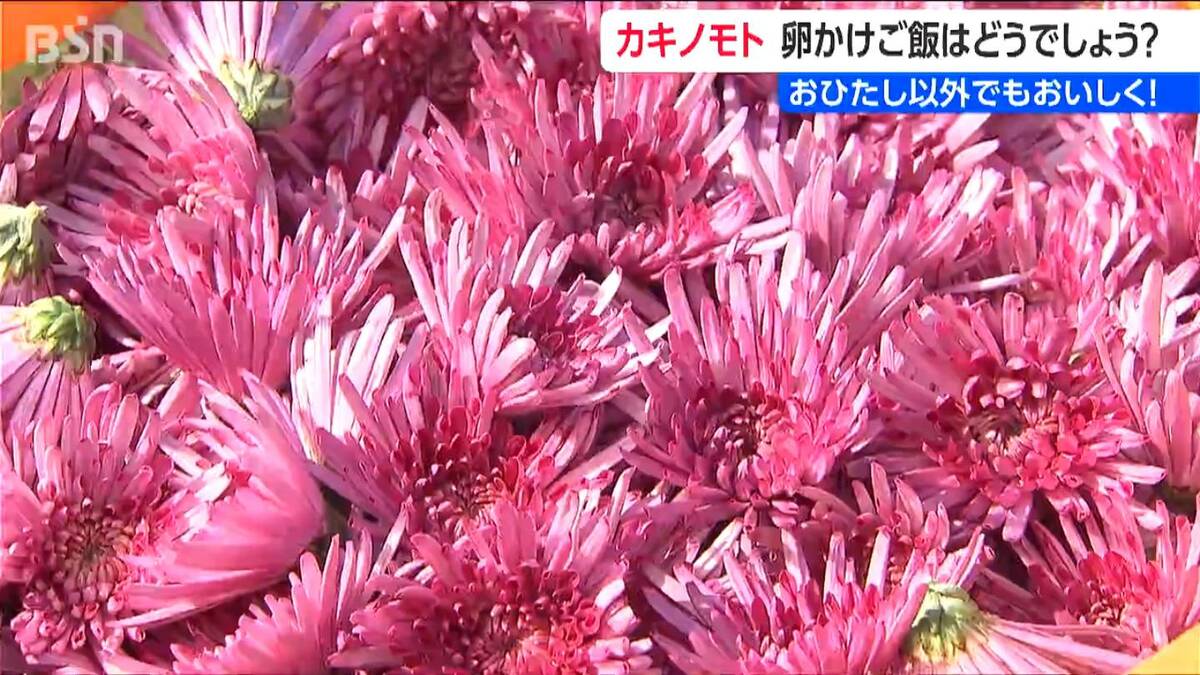 サムネイル_おすすめは“卵かけご飯”！ 新潟の秋の味覚『カキノモト』が出荷ピーク　生産者激減のなか最年少生産者が提案する“新定番”