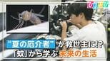 蚊に刺されても痛くないのはなぜ?「蚊」に学ぶテクノロジー「“痛くない”注射」や「気流感知ドローン」も【ひるおび】|TBS NEWS DIG