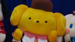 【サンリオキャラクター大賞連覇】ポムポムプリンが連覇 今年も〝3大犬〟がTOP３に輝く「あひるのペックル」が6位で大躍進|TBS NEWS DIG