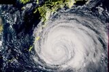 【台風13号】奄美で最大瞬間風速60mの猛烈な風のおそれ 10mの猛烈なしけや大雨に厳重警戒(九州南部も影響長引く)【雨と風のシミュレーション】|TBS NEWS DIG