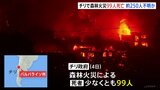 南米チリ森林火災の死者99人に　およそ250人が消息不明|TBS NEWS DIG