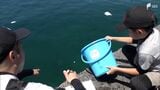 「魚と触れ合える機会少ないので」子どもたちがマダイの稚魚を放流=静岡・沼津市 | 静岡のニュース | SBSNEWS | 静岡放送