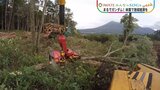 【SDGs】最新鋭の林業機械はまるでアニメのロボット~資源生かし地域経済を回す|TBS NEWS DIG
