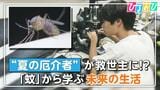 蚊に刺されても痛くないのはなぜ?「蚊」に学ぶテクノロジー「“痛くない”注射」や「気流感知ドローン」も【ひるおび】|TBS NEWS DIG