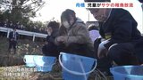 「地元の川を豊かに」児童たちがサケの稚魚を放流　富山・舟橋村　|　富山のニュース｜天気・防災｜チューリップテレビ