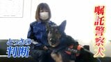 「犬の耳ピーン!」高齢女性が真冬の夜に行方不明…飼い主がとっさの判断 信頼の絆が生んだ奇跡 | 富山のニュース|天気・防災|チューリップテレビ