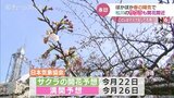 もうすぐ開花…ぽかぽか陽気の春分の日　松川べりのサクラほころび始める　富山　|　富山のニュース｜天気・防災｜チューリップテレビ