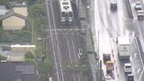 国道1号でトラックが街路樹衝突 はずみで倒れた木が東海道線路内に 上下2時間運転見合わせ 2万3,000人の足に影響=静岡市 | 静岡のニュース | SBSNEWS | 静岡放送