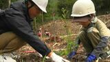 国の天然記念物“鯉が窪湿原”で森林保全活動 「少花粉スギ」約600本の苗木を植樹【岡山・新見市】|TBS NEWS DIG