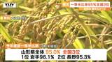 一等米比率、去年に比べ躍進!というより本来の姿に!産地銘柄別では「雪若丸」が全国1位 コメ農家の努力も実った秋(山形) | 山形のニュース│TUYテレビユー山形