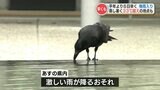 『30日(火)は激しい雨が降るおそれ』九州北部地方 梅雨入り 去年より13日も早く | 熊本のニュース|RKK NEWS|RKK熊本放送