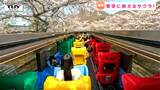 来年春に導入予定!屋根のないバスで桜のトンネルを駆け抜ける!(山形) | 山形のニュース│TUYテレビユー山形
