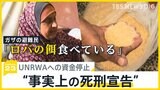 「ロバの餌食べてる」ガザで食料不足も…ハマス関連疑惑で国連機関への“資金拠出”一時停止「死刑宣告に近い」【news23】|TBS NEWS DIG