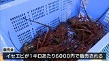 秋の旬の味覚「イセエビ」を格安で堪能 日南市南郷町で「なんごう伊勢えびまつり」 | MRTニュース | MRT宮崎放送