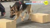 「迫力に驚いた」麻薬探知犬が不正薬物をかぎ分ける！ 学生向けインターンシップでデモンストレーション　|　RCC NEWS | 広島ニュース | RCC中国放送