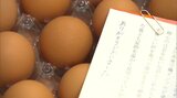 「白黒映画を見ているようだった」鳥インフルで全15万羽が殺処分 絶望の養鶏農家、再起の日々 | 愛媛のニュース - Nスタえひめ|あいテレビは6チャンネル